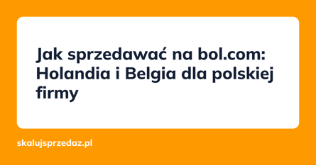 Jak sprzedawać na bol.com: Holandia i Belgia dla polskiej firmy